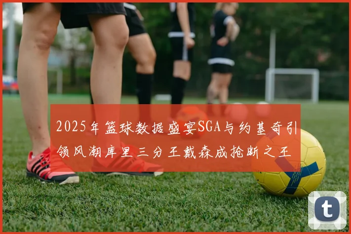 2025年篮球数据盛宴SGA与约基奇引领风潮库里三分王戴森成抢断之王