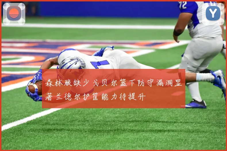 森林狼缺少戈贝尔篮下防守漏洞显著兰德尔护筐能力待提升