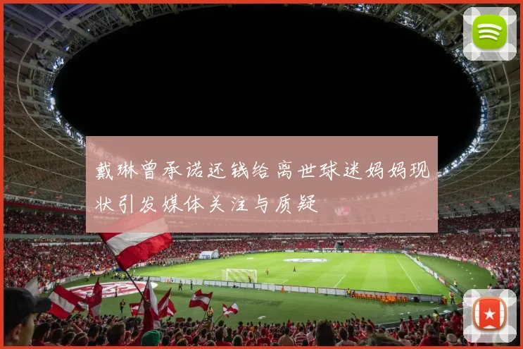 戴琳曾承诺还钱给离世球迷妈妈现状引发媒体关注与质疑