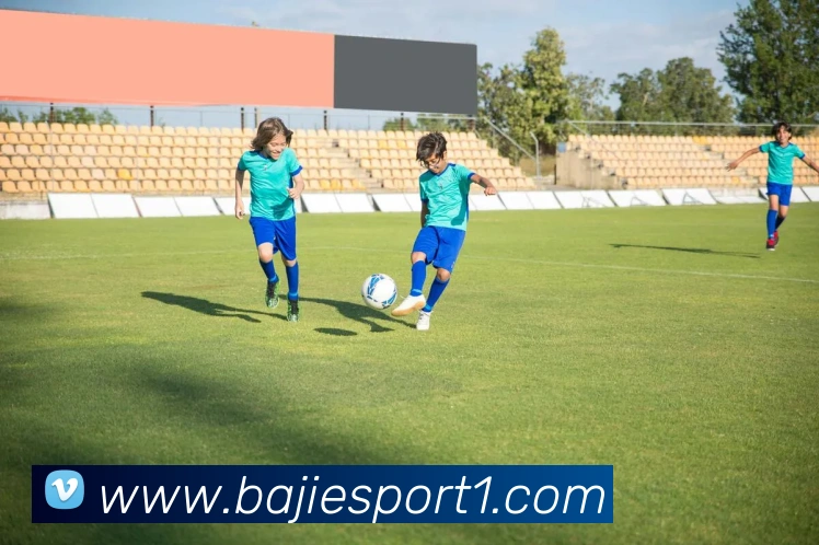 八戒足球体育平台生态图